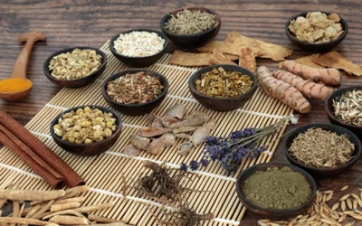 Adaptogens in Cancer Care